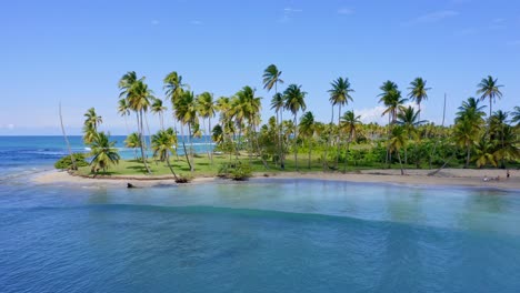 cinematic aerial of playa esmeralda beach with sand, tropical palm trees and blue caribbean sea