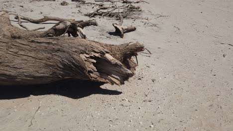 Dry-desert-dirt-and-blue-skies