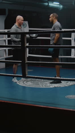 sesión de entrenamiento de boxeo