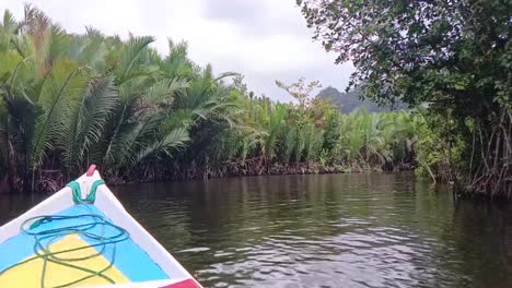 el barco navega por el río a través del bosque de manglares en ramang-ramang