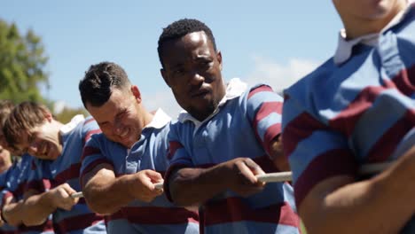 rugby players playing tug of war 4k 4k