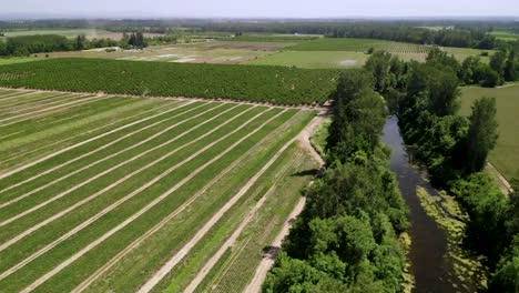 Countryside-With-Vast-Agriculture-Farm-By-The-Peaceful-River-At-Summer