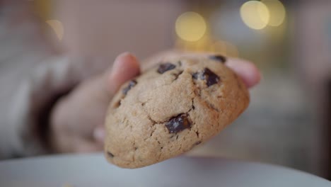 person holding a chocolate chip cookie