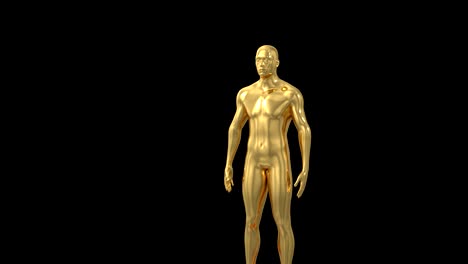 intro de la ceremonia de entrega del trofeo con espacio para el texto del título nominación 4k