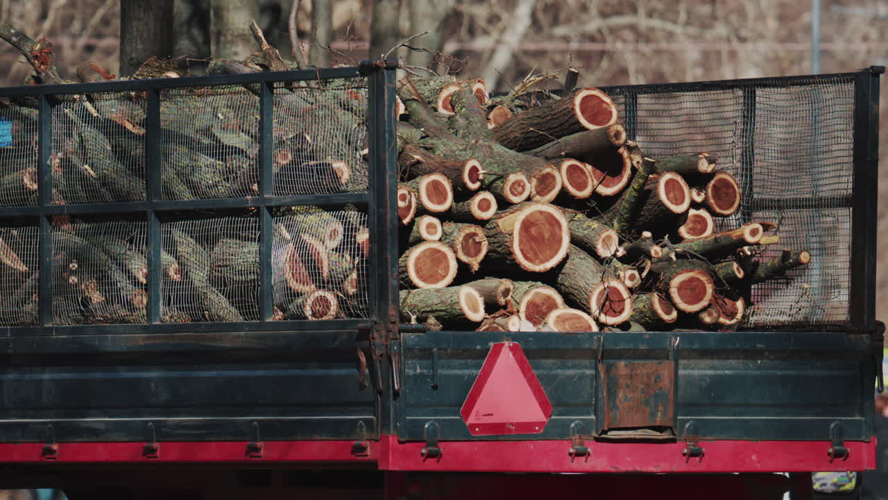Wide shot of a trailer filled with logs moving through a park on a sunny day