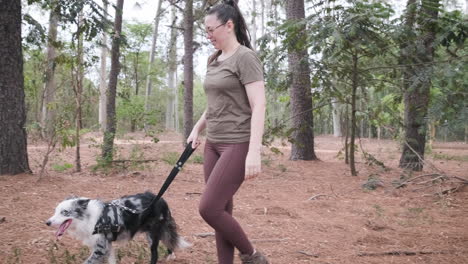 Girl-in-glasses-and-ponytail-walks-her-pet,-an-australian-shepherd-dog,-walk-in-the-forest