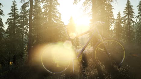 bicycle in mountain forest