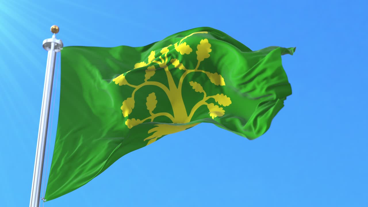 Flag of Vest-Agder fylke, Norway. Loop