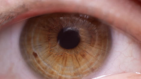 primer plano del ojo