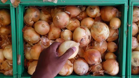 onions in a green crate