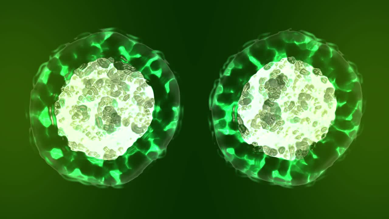 división celular, mitosis animación 3d con tono verde