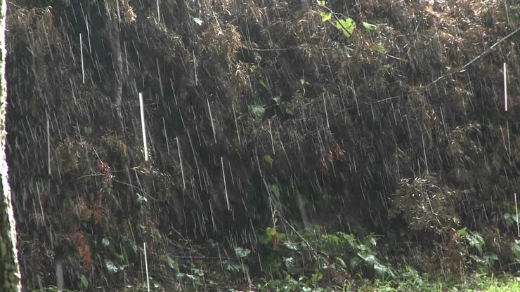 Cae lluvia torrencial durante una gran tormenta.