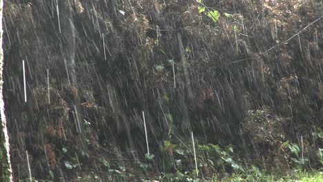 Regen-Fällt-Stark-Während-Eines-Großen-Sturms