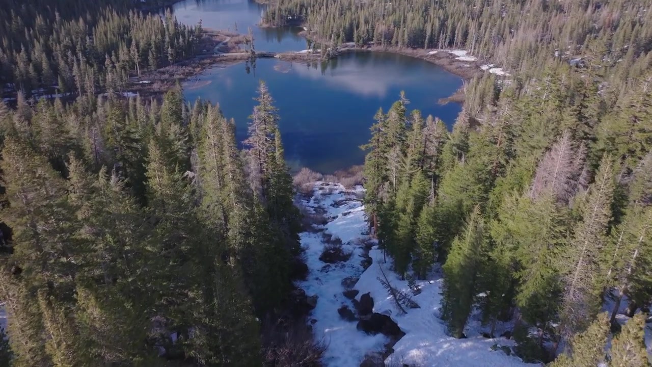 Volo di drone aereo sopra le fitte foreste sempreverdi verso le scintillanti acque alpine dei Twin Lakes a Mammoth Lakes, California, durante un luminoso pomeriggio di montagna.