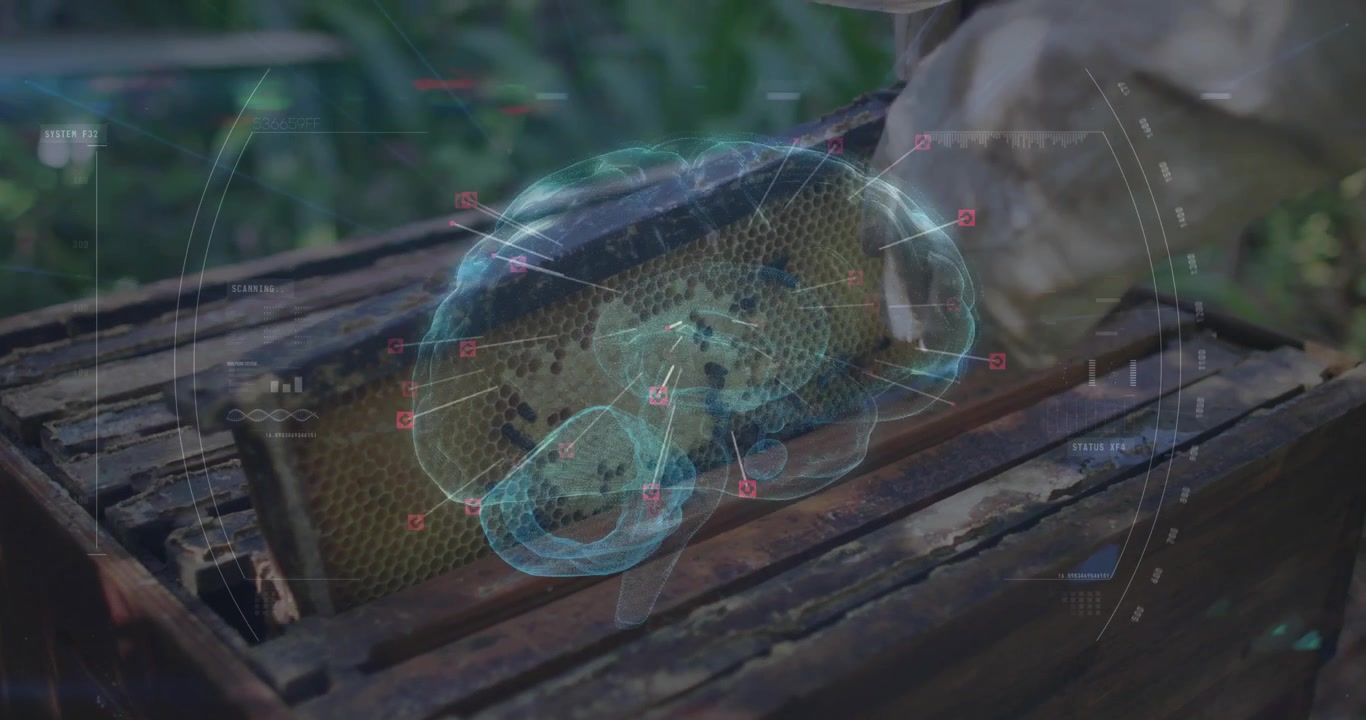 Senior beekeeper opening hive and scanning honeycomb frame for beekeeping analysis with AR overlay