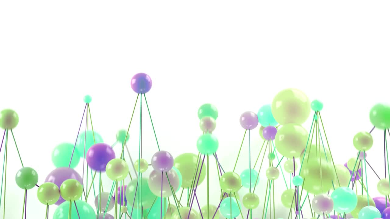 분자 네트워크 루프