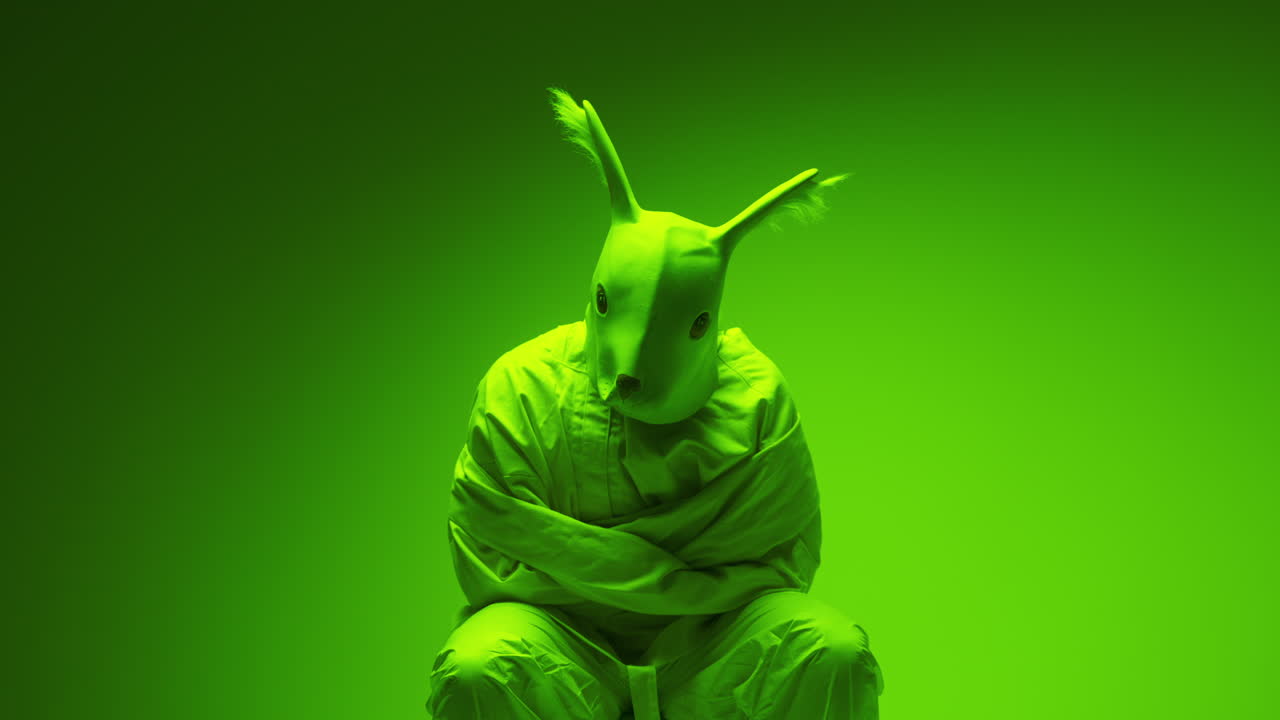 Person in a Green Uniform and Rabbit Mask