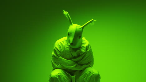Person in a Green Uniform and Rabbit Mask