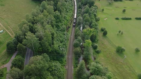 tren pasando por un bosque