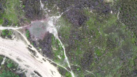 Top-down-aerial-footage-of-heathland,-grazed-by-sheep-Flying-over-a-walking-path