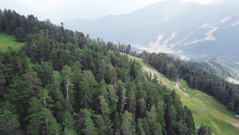 mountain forest landscape aerial view