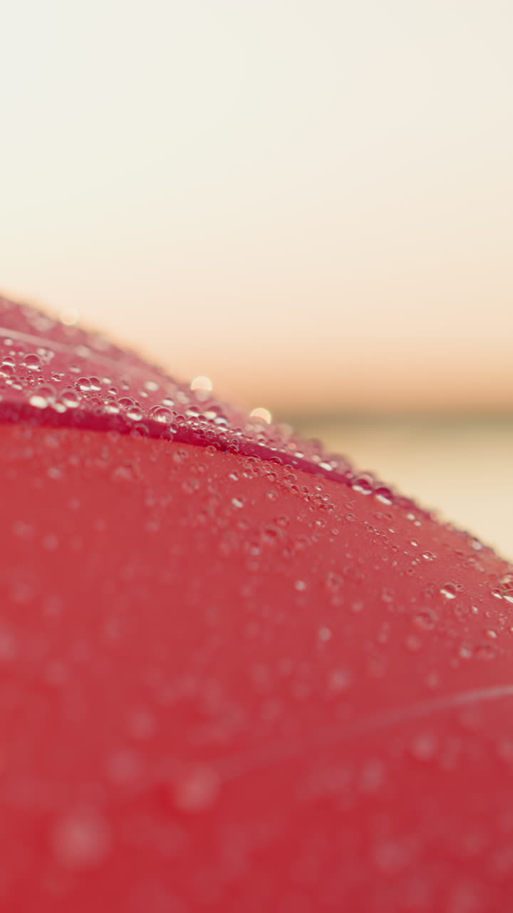 우산에 비가 내리고 다채로운 우산은 긍정의 등대가 되어 날씨에도 불구하고 비가 오는 날에 색의 폭발을 불러일으킨다.