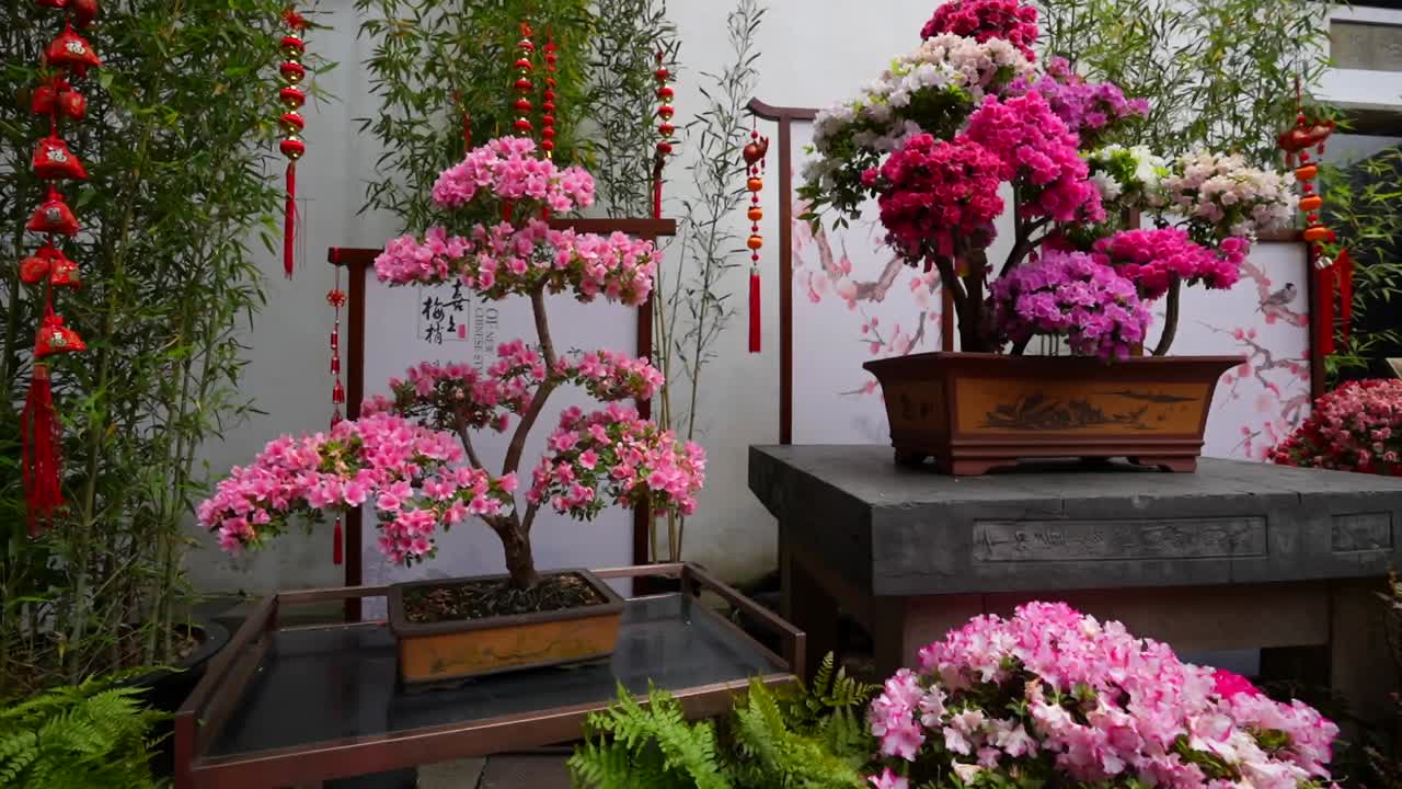 Display of small colorful bonsais and plants in pink tones at Yuyuan Garden, Shanghai, China