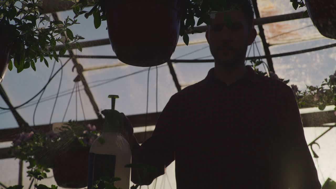 Farmer Spraying Seedlings in Greenhouse at Sunset