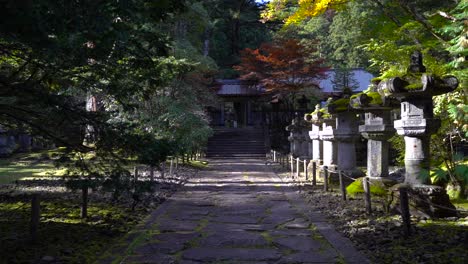 slow dolly out from path inside beautiful japanese temple lined with stone pillars