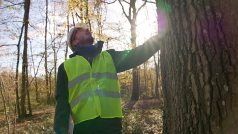 tree surgeon on location inspecting birch of thick trunk, countryside