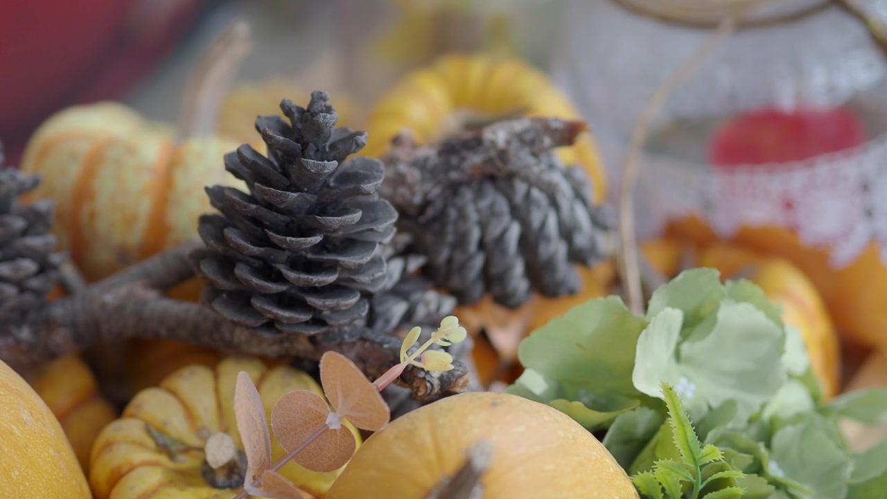 Composizione di Natura Morta Autunnale con Zucche e Pigne