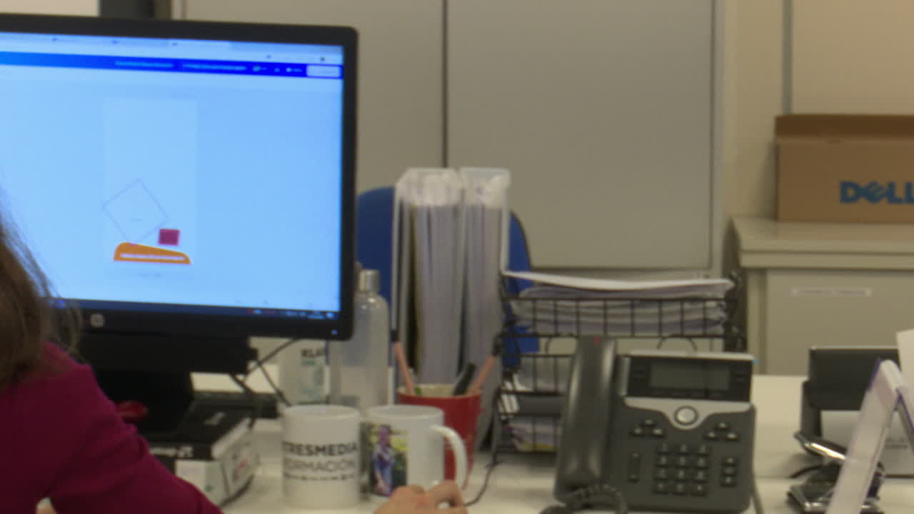 mujer trabajando en una computadora en una oficina