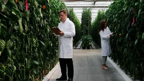 scientist writing on the clipboard in the greenhouse 4k