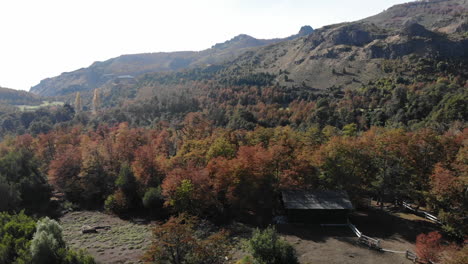 Aéreo---Hermoso-Bosque-Y-Montañas-En-Bariloche,-Patagonia,-Argentina