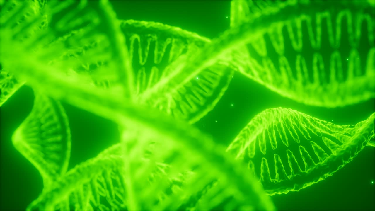 dna 이중 나선 애니메이션의 구조