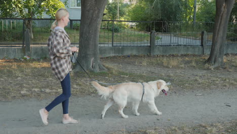 woman walking dog in park