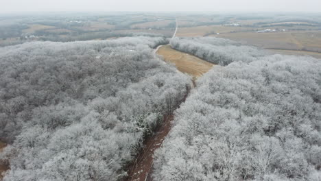 Panorámica-Aérea-Hacia-Arriba-Revelada-Sobre-Un-Camino-Solitario-Con-árboles-Cubiertos-De-Hielo-En-El-Campo