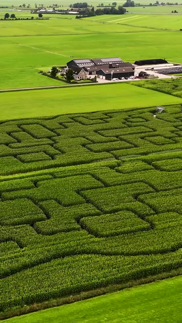 Aerial View of a Large Corn Maze and Farmhouse in a Green Landscape