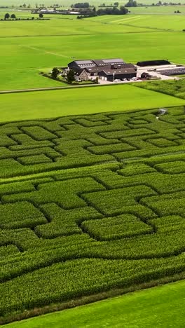 aerial view of a large corn maze and farmhouse in a green landscape