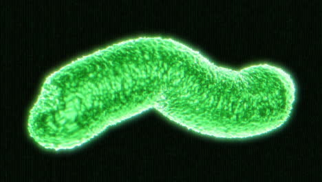 Medizinischer-Mikrokeim-Des-Virus-Mit-Störung-Am-Ende-In-4K-Auflösung,-Grüner-Hintergrund