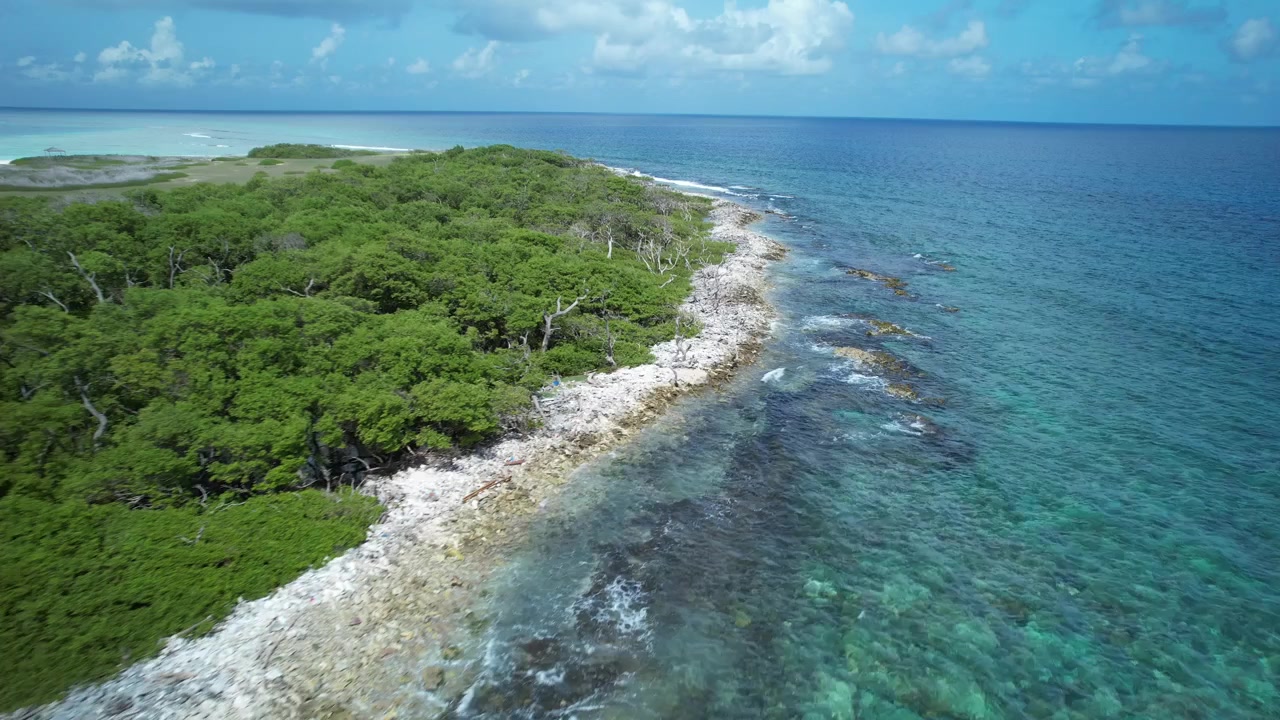Un'isola tropicale circondata da acqua turchese, coste rocciose e vegetazione lussureggiante sotto un cielo soleggiato.
