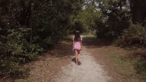 following a young child with brown hair and a tongue who walks alone on a forest path in summer