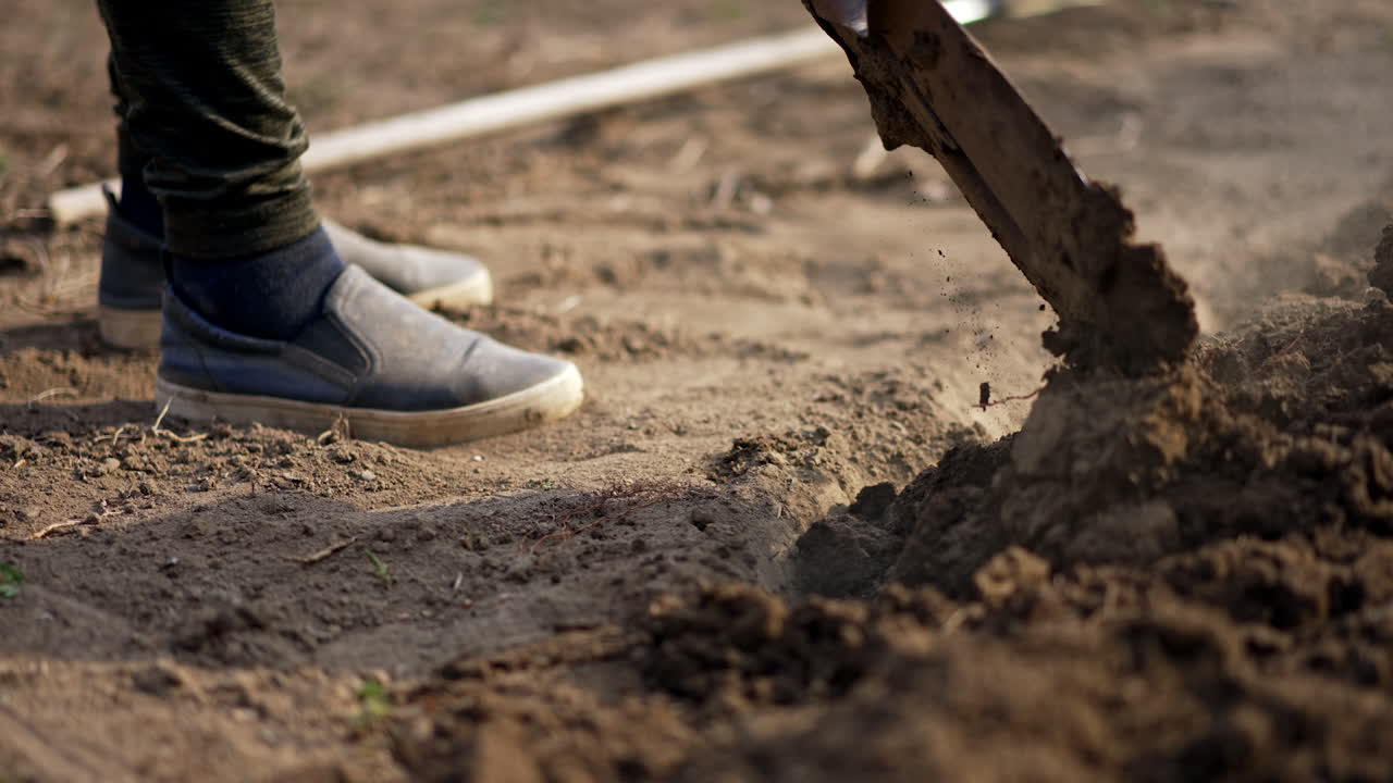 Preparation of soil for the planting season in spring. Unrecognized farmer using shovel to dig the ground.