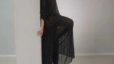woman in a black sheer dress