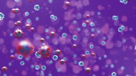 animation of multiple covid 19 cells floating on purple background