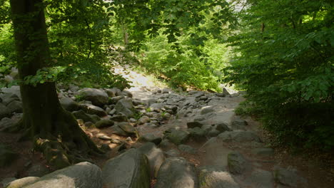 Felsenmeer-En-Odenwald-Mar-De-Rocas-Madera-Naturaleza-Turismo-Tiro-Firme