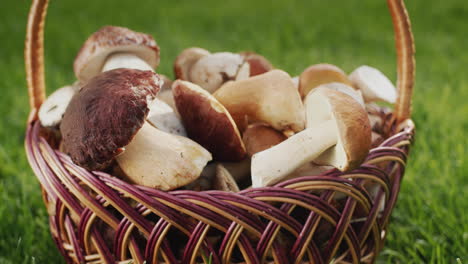 Wildpilze-In-Einem-Weidenkorb,-Die-Kamera-Bewegt-Sich-Langsam-Von-Ihnen-Weg