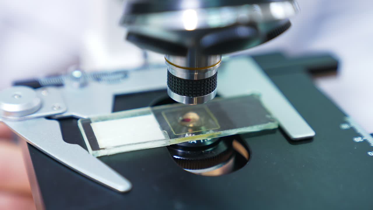 Sample of blood being examined under the microscope. Close up shot of a microscope in medical development laboratory.