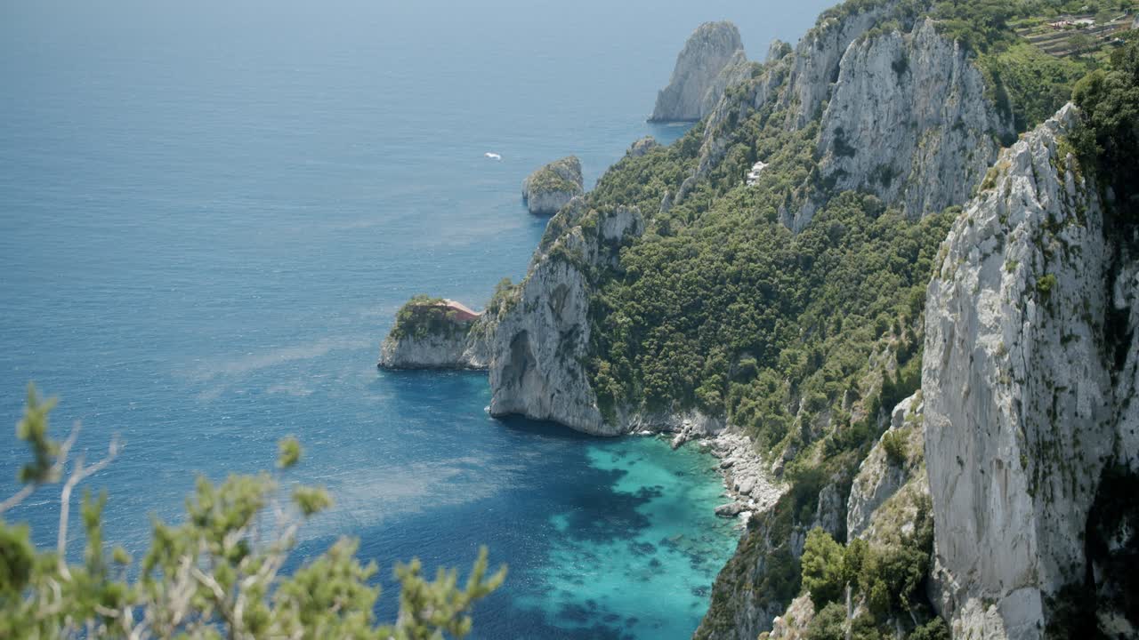 hermosa vista de una gaviota salvaje volando sobre la costa en la isla de capri