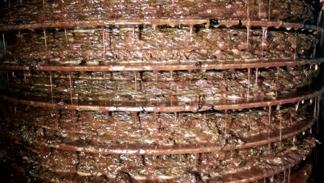 olive oil production in olive oil mill in south of italy